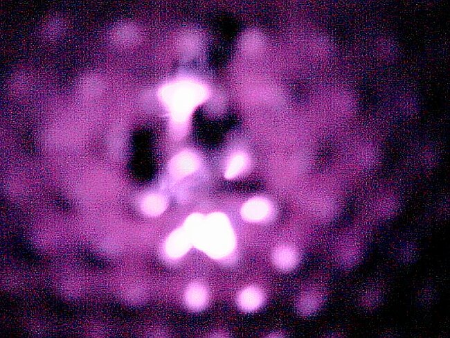 DSC00040.JPG